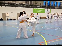 2018-01-26 218-border